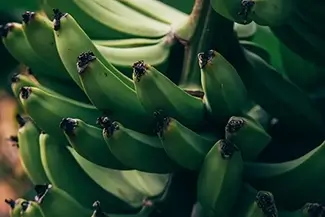 Tortola Bunch of Green Bananas, Road Town, Tortola