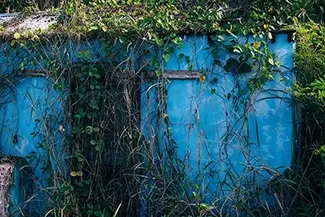 Tortola’s Overgrown Blue Wall, Road Town, Tortola