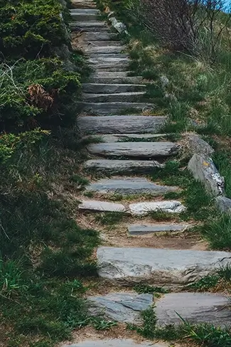 Two Lights State Park Stone Pathway Through Greenery, Cape Elizabeth, Maine