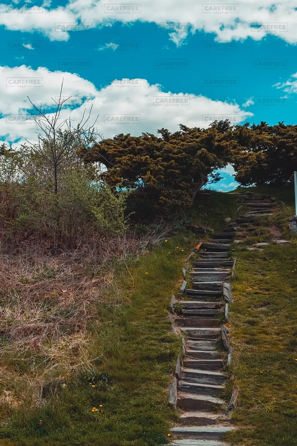 Two Lights State Park Ascending Nature Trail, Cape Elizabeth, Maine · United States