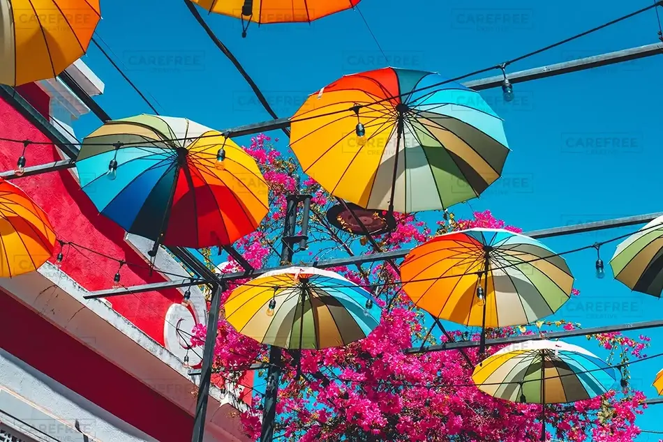 Umbrella Street Blossom Canopy, San Felipe, Puerto Plata · Dominican Republic