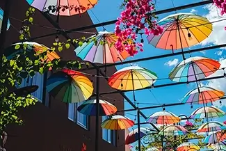 Umbrella Street Spectrum of Shade, San Felipe, Puerto Plata
