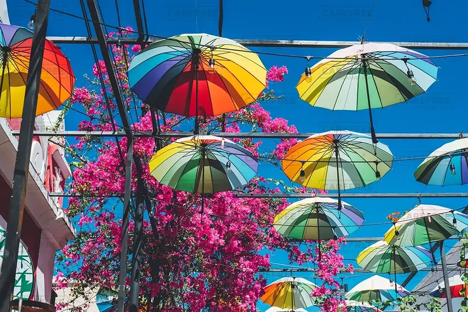 Umbrella Street Petals and Canopies, San Felipe, Puerto Plata · Dominican Republic