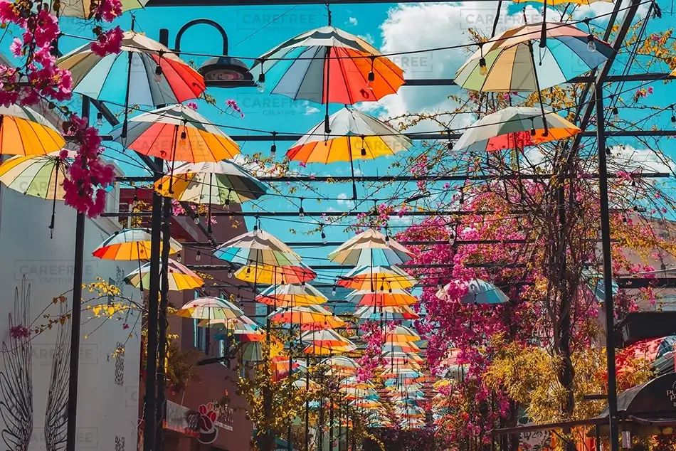 Umbrella Street Floral Sky Parade, San Felipe, Puerto Plata · Dominican Republic