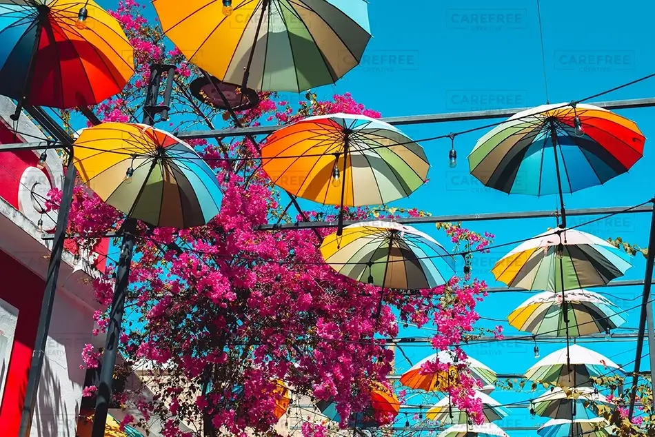 Umbrella Street Blossoms and Shades, San Felipe, Puerto Plata · Dominican Republic