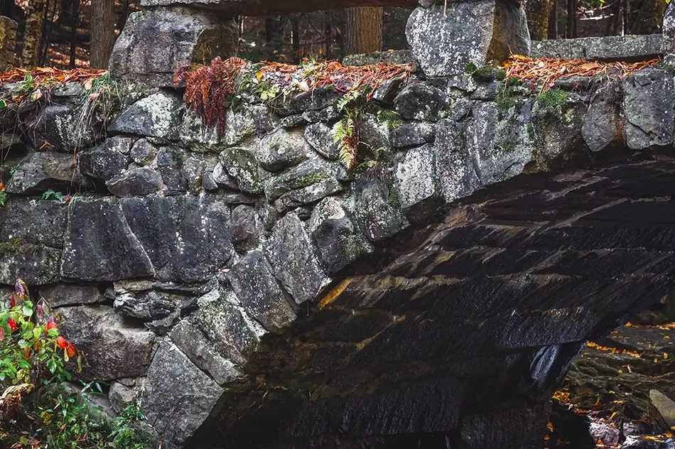 Vaughn Woods Stone Bridge with Fall Leaves