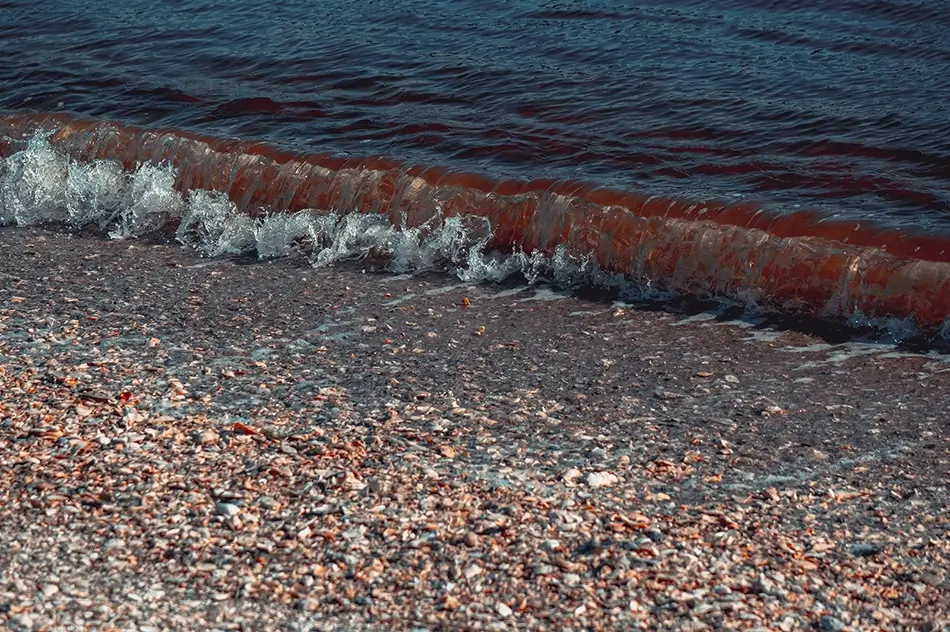Vereen Memorial Gardens Gentle Wave Meeting Shore, Little River, South Carolina · United States