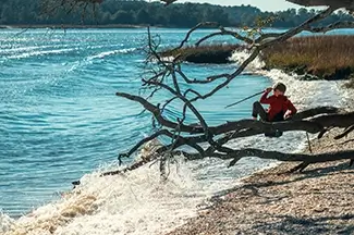 Vereen Memorial Gardens Boy Fishing Shoreline, Little River, South Carolina