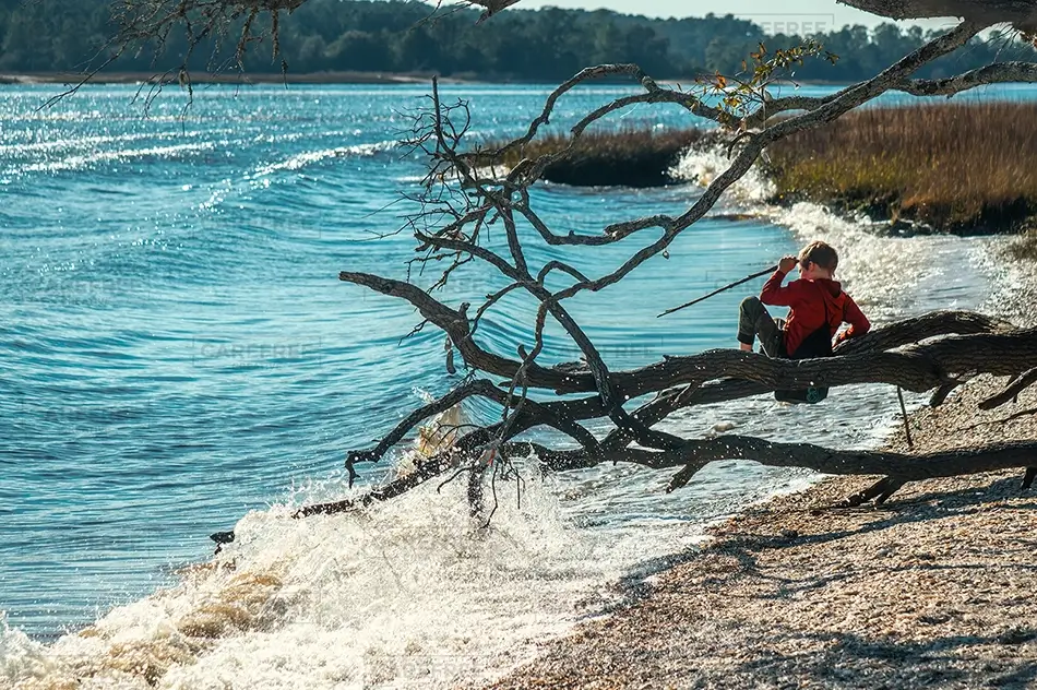 Vereen Memorial Gardens Boy Fishing Shoreline, Little River, South Carolina · United States