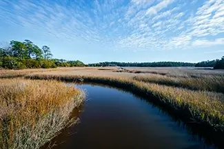 Vereen Memorial Gardens Winding Marsh Creek, Little River, South Carolina