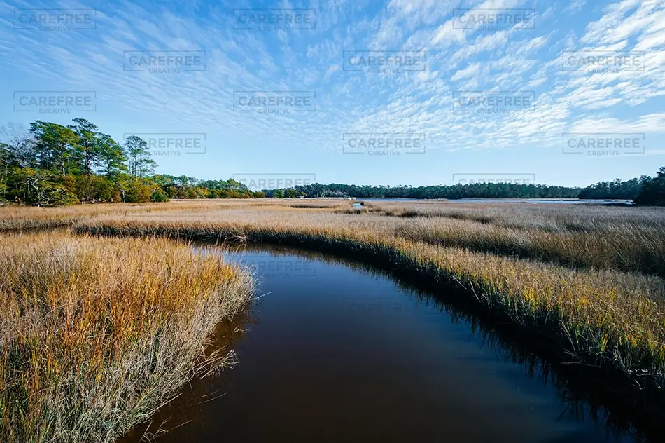 Vereen Memorial Gardens Winding Marsh Creek, Little River, South Carolina · United States