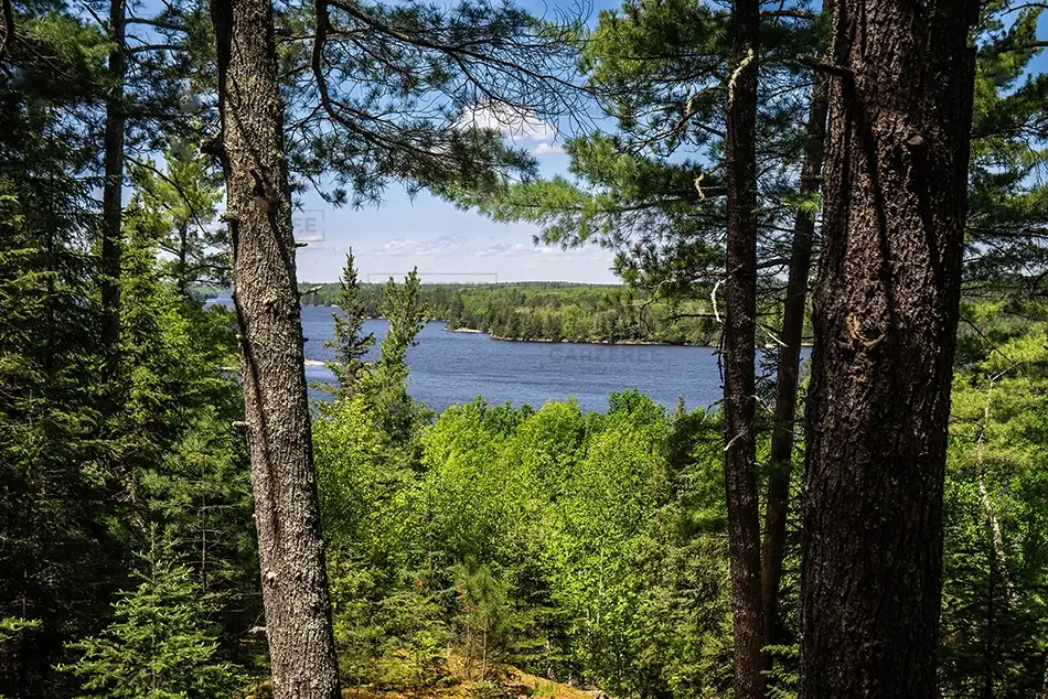 Voyagers National Park Scenic View of Lake, International Falls, Minnesota · United States