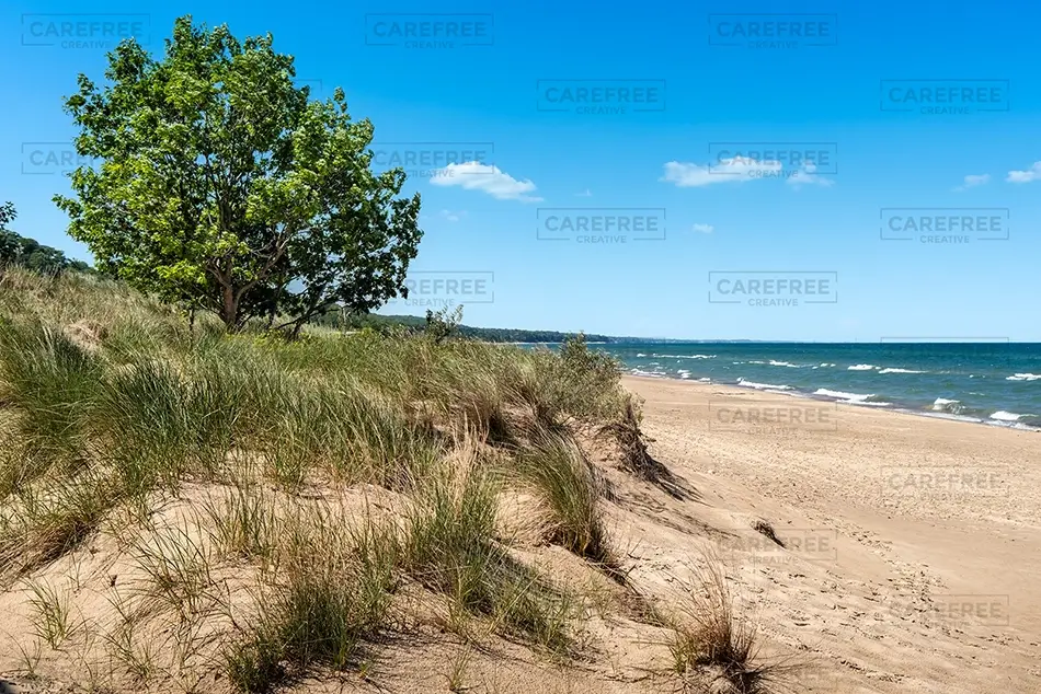 Warren Dunes State Park Sandy Beach and Greenery, Sawyer, Michigan · United States