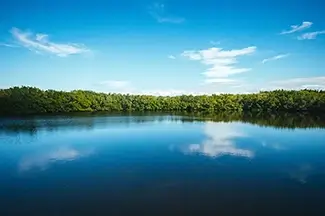 Weedon Island Preserve Blue Expanse, St. Petersburg, Florida