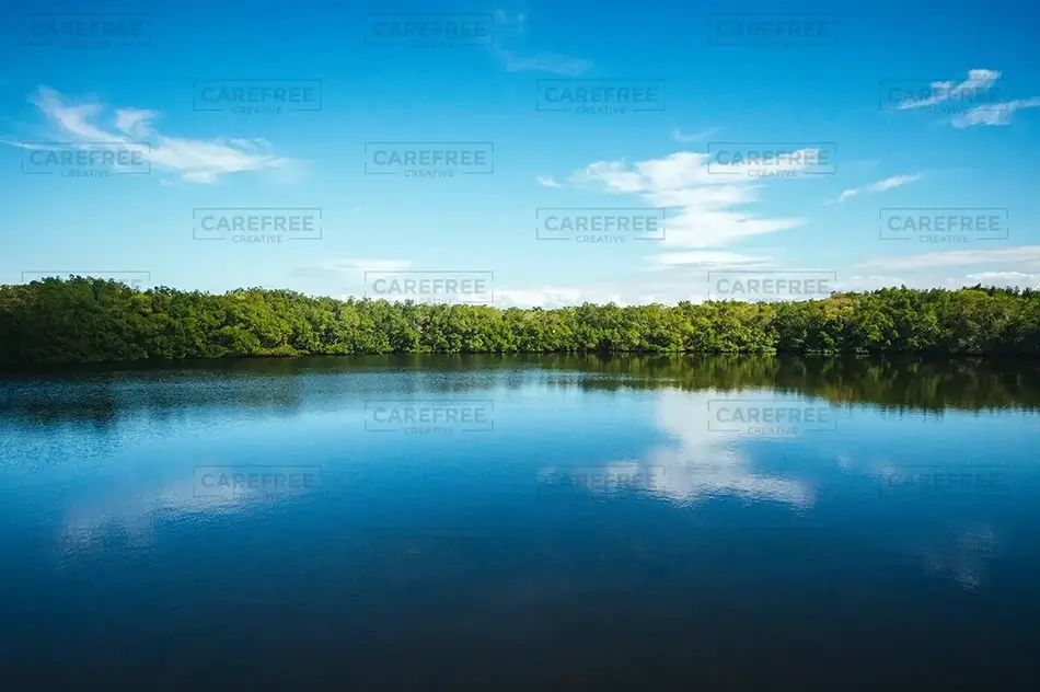 Weedon Island Preserve Blue Expanse, St. Petersburg, Florida · United States