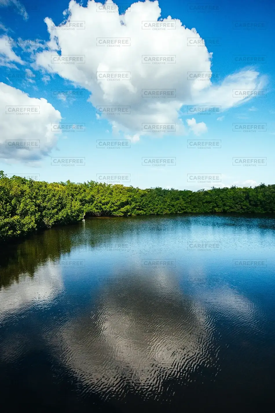 Weedon Island Preserve Water’s Mirror, St. Petersburg, Florida · United States