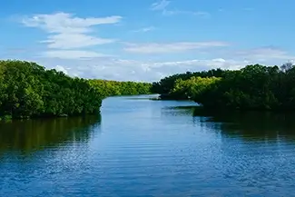 Weedon Island Preserve Verdant Waterway, St. Petersburg, Florida