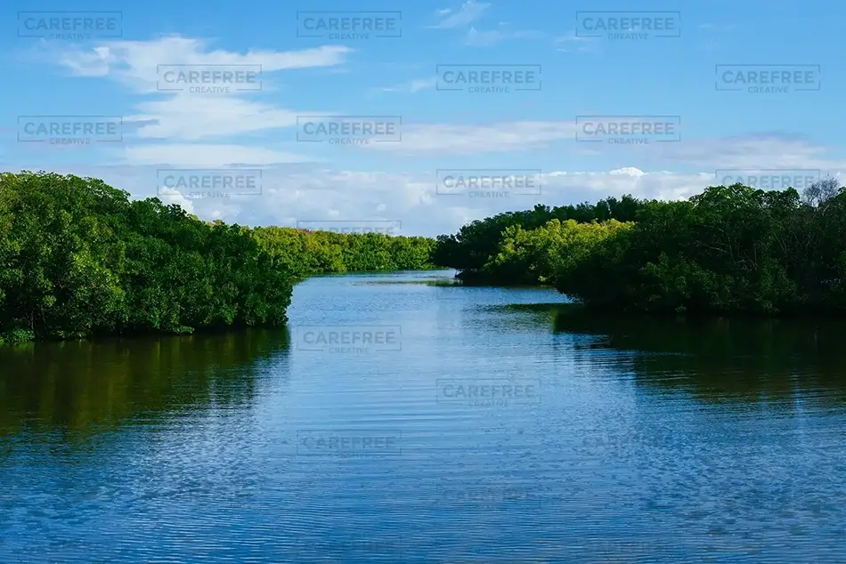 Weedon Island Preserve Verdant Waterway, St. Petersburg, Florida · United States