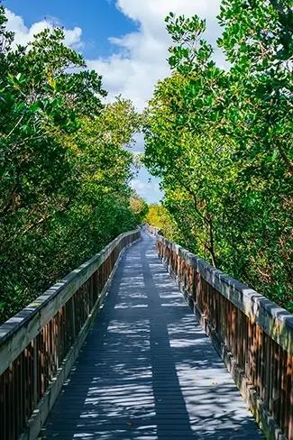 Weedon Island Preserve Boardwalk Journey, St. Petersburg, Florida