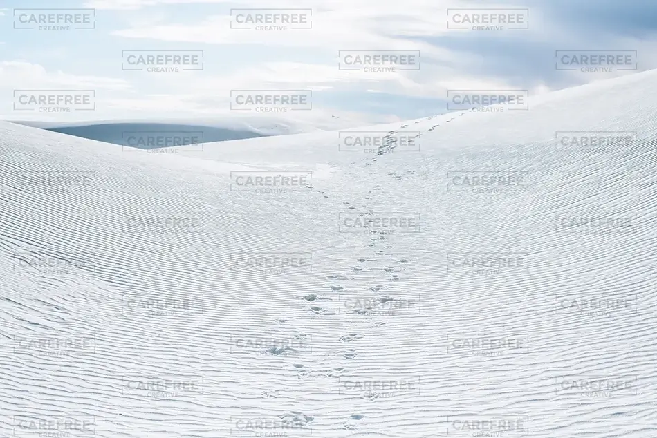 White Sands National Park Cresting Dune Silhouette, New Mexico · United States