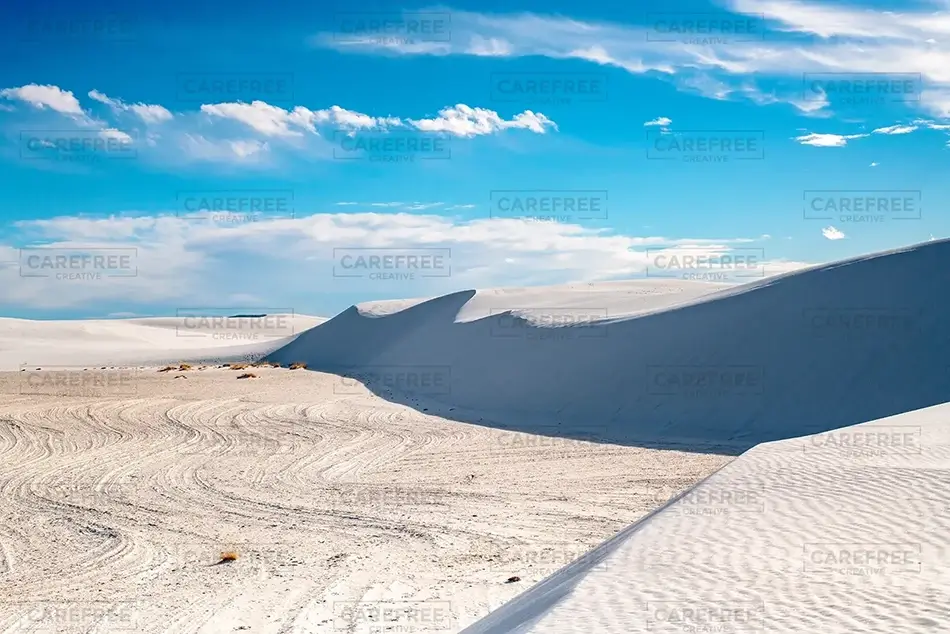 White Sands National Park Daytime Glow at Dune’s Edge, New Mexico · United States