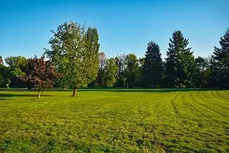 Willamette Mission Park Open Meadow, Keizer, Oregon