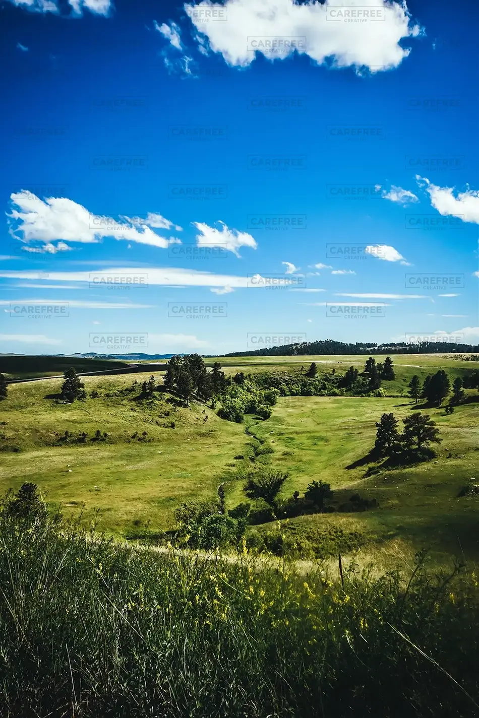 Wind Caves National Park Expansive Prairie, South Dakota · United States