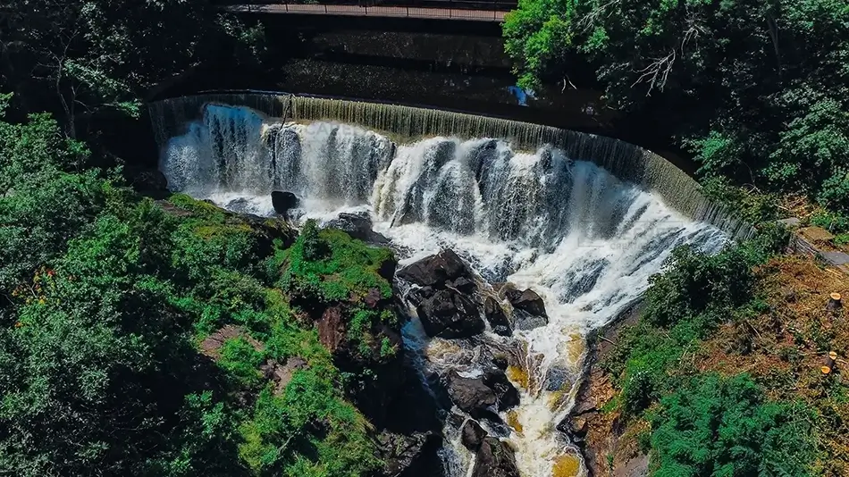 Yantic Falls Lush Greenery Falls