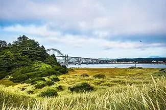 Yaquina Bay State Recreation Site Windswept Dunes Path, Newport, Oregon