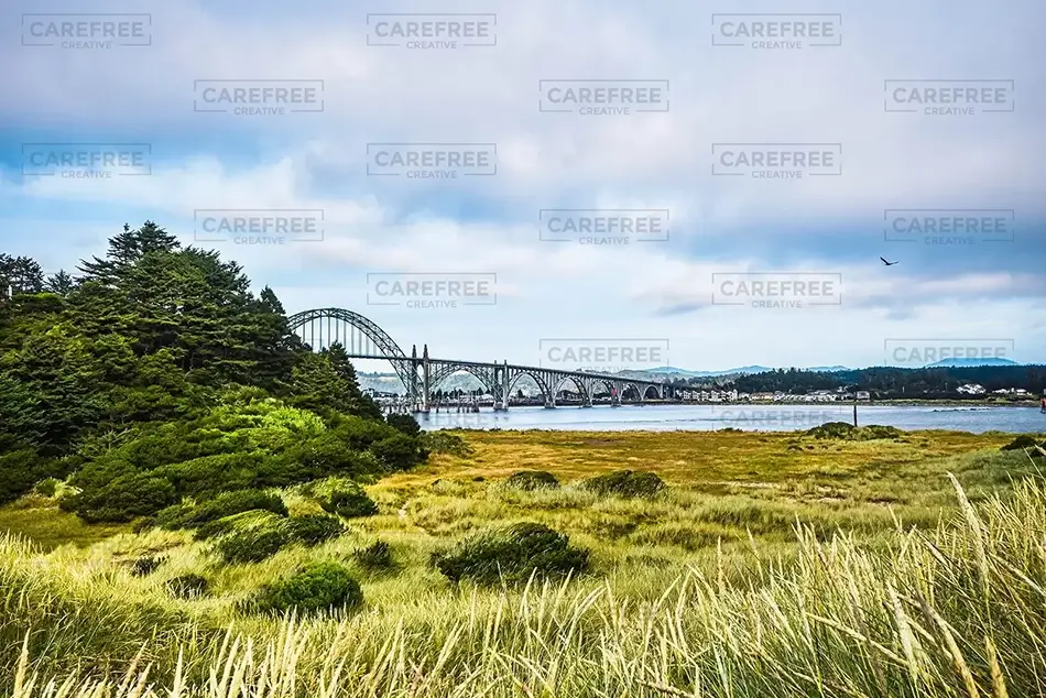 Yaquina Bay State Recreation Site Windswept Dunes Path, Newport, Oregon · United States