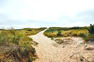 Yaquina Bay State Recreation SiteTrail Through Dunes, Newport, Oregon