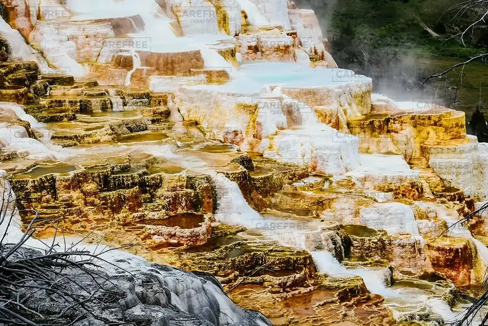 Yellowstone National Park Mammouth Hot Springs, Yellowstone National Park, Wyoming · United States