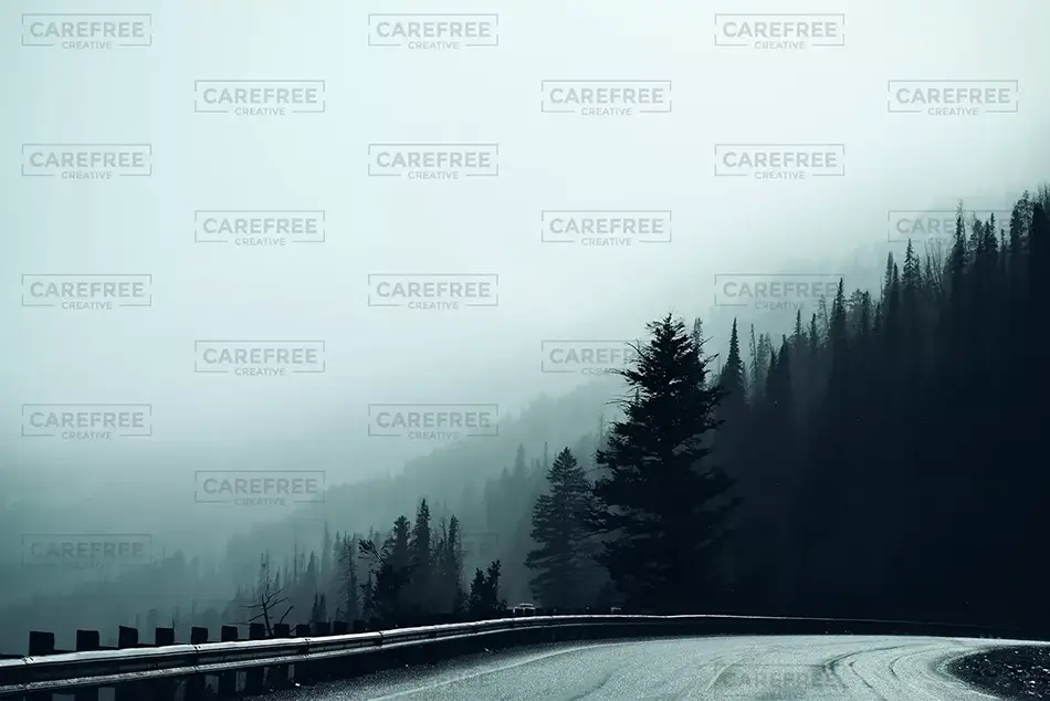 Yellowstone National Park Winter Tree Gradient, Yellowstone National Park, Wyoming · United States