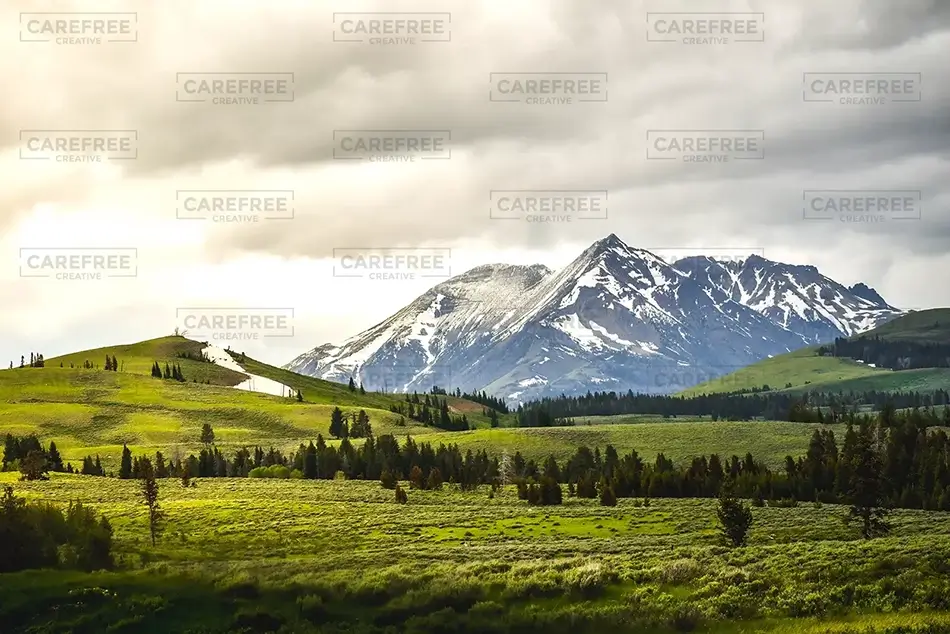Yellowstone National Park Electric Peak Prairie, Yellowstone National Park, Wyoming · United States