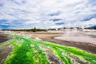 Yellowstone National Park Norris Geyser Basin Green Algae, Yellowstone National Park, Wyoming
