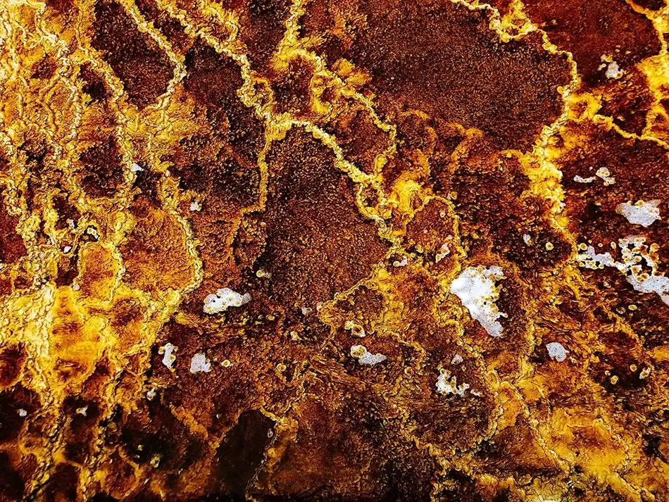 Yellowstone National Park Norris Geyser Basin Macro Orange, Yellowstone National Park, Wyoming · United States