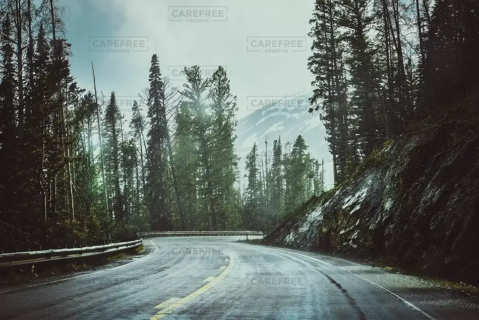 Yellowstone National Park Winding Road, Yellowstone National Park, Wyoming · United States