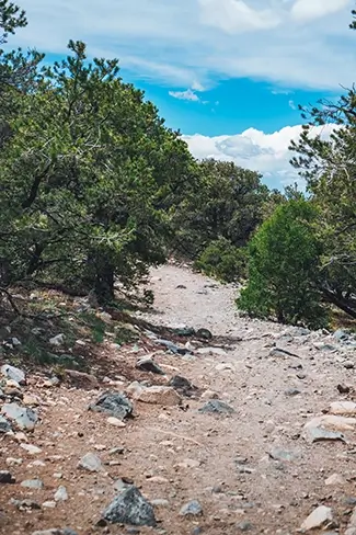 Zapata Falls Rocky Trail Surrounded by Greenery, Alamosa, Colorado