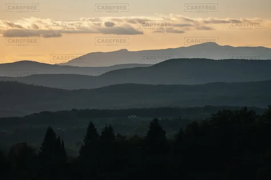 General Section Image