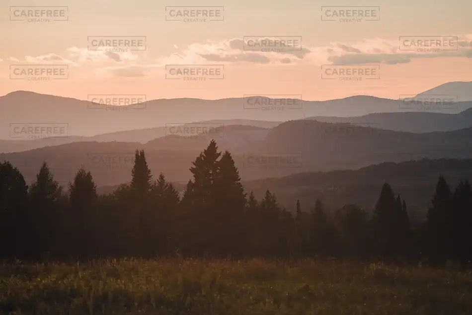 General Section Image