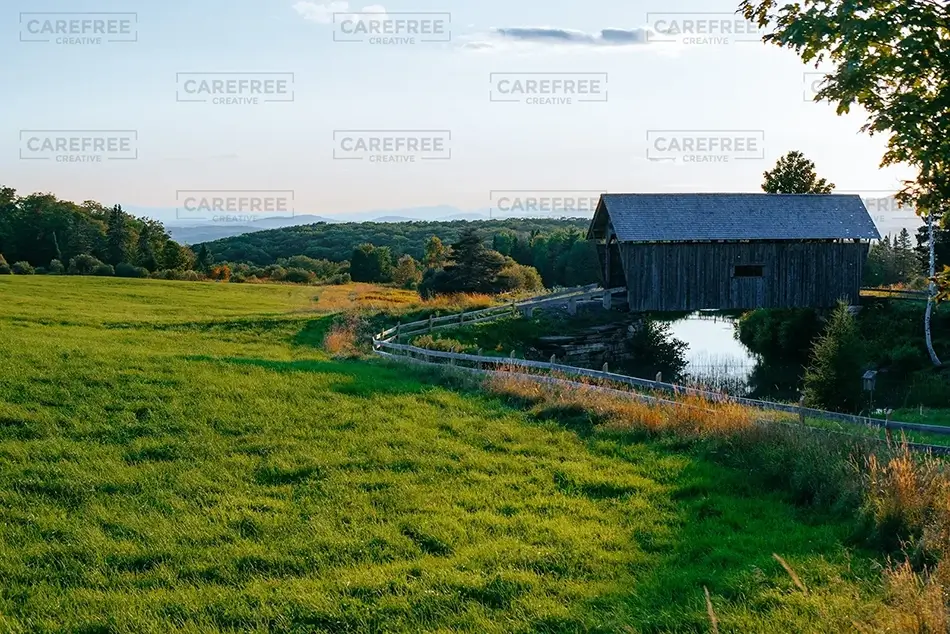 General Section Image