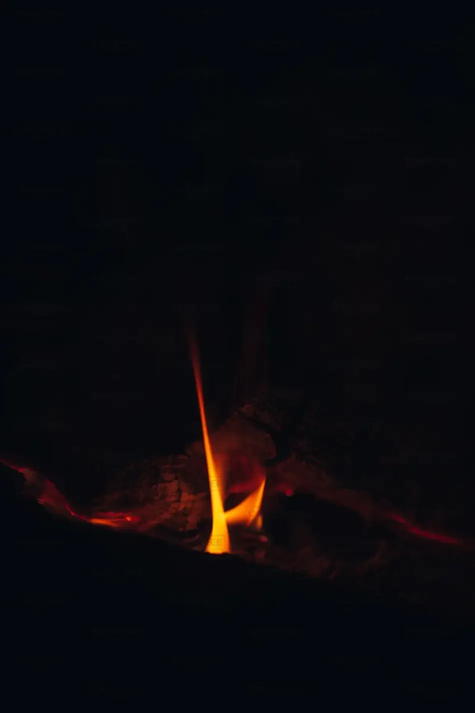 General Section Image