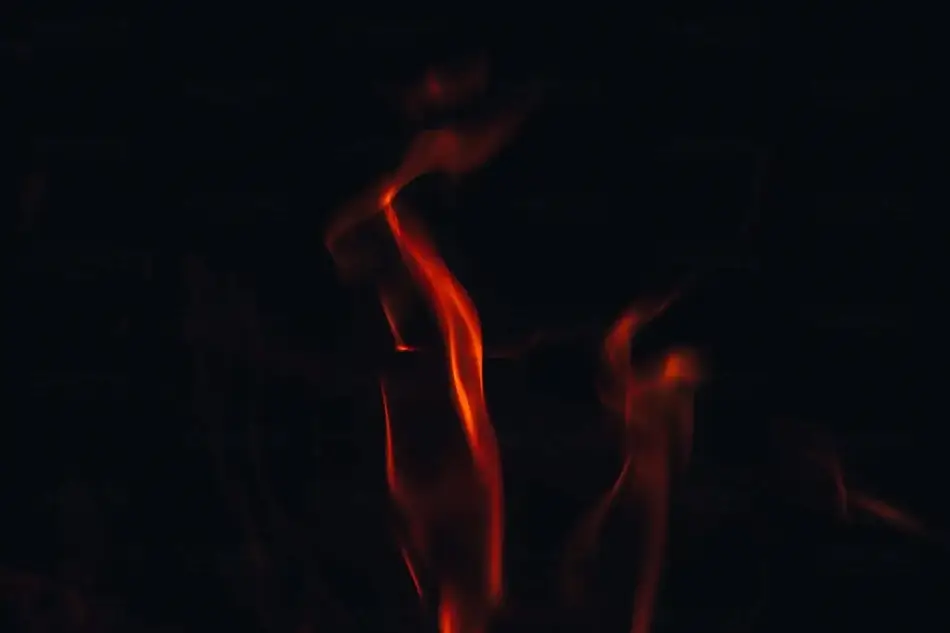 General Section Image