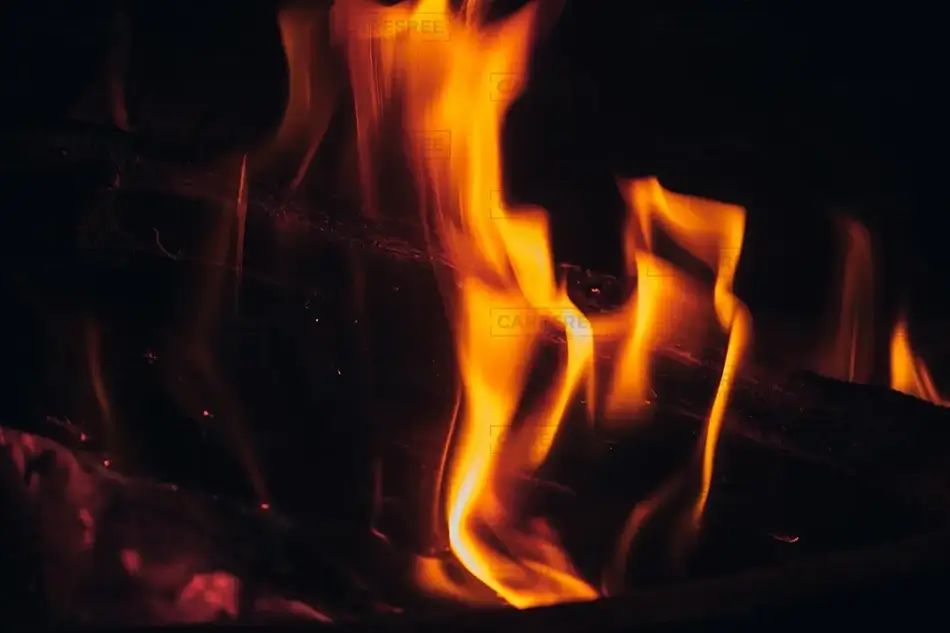 General Section Image