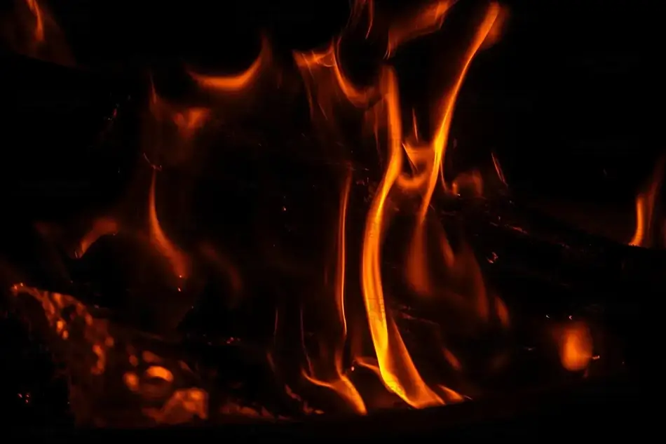 General Section Image