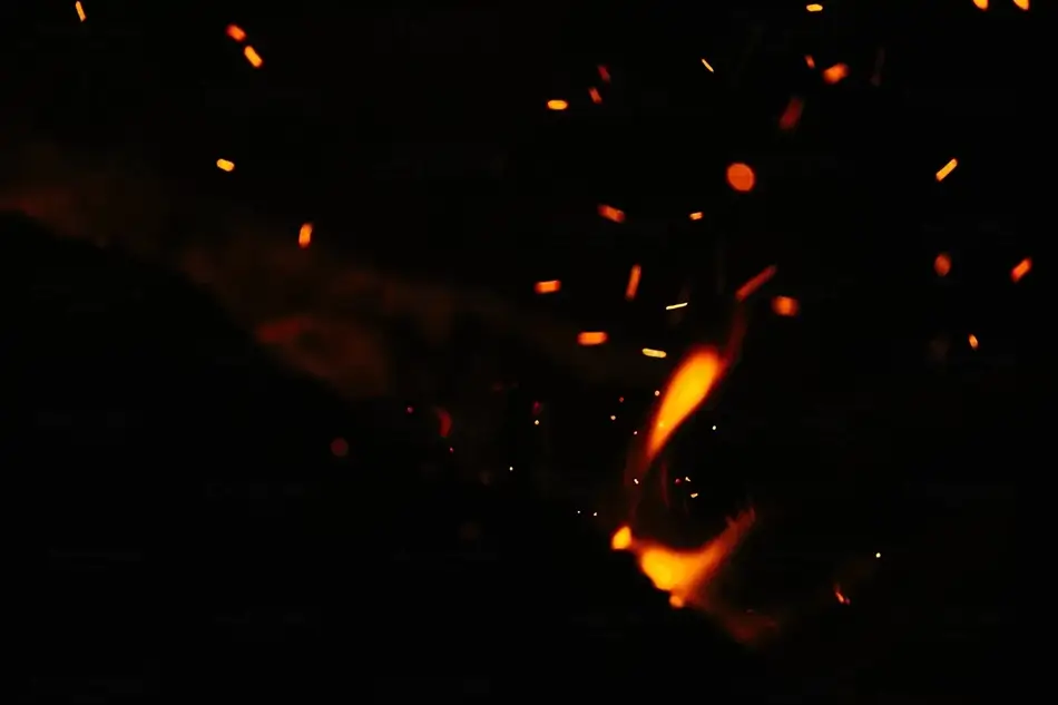 General Section Image