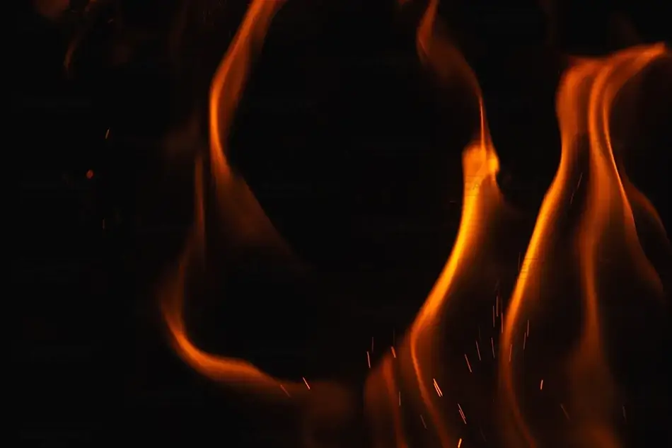 General Section Image