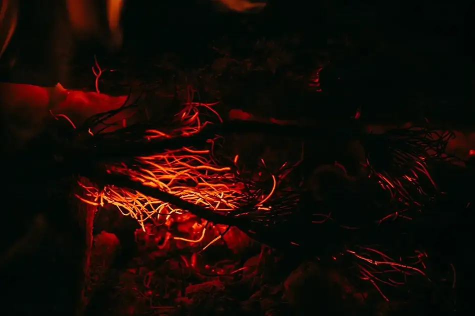 General Section Image