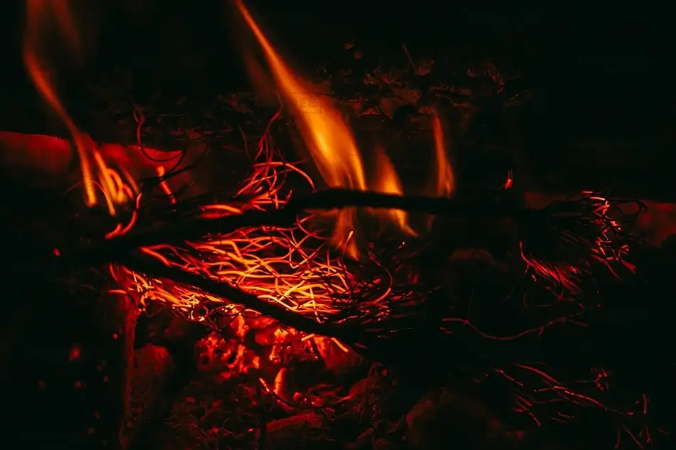 General Section Image