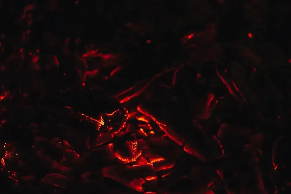 General Section Image